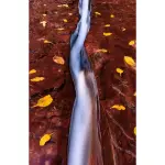 Canon - EOS R5 Mirrorless Camera - Black (Body Only)