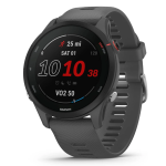 Garmin Forerunner® 255 46mm - Slate Gray