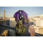 SteelSeries Arctis Nova Pro Wireless Gaming Headset – Black