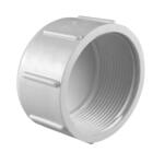 Charlotte 1/2" PVC Cap FPT