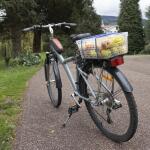 HDX36 in Jumbo Bungee, 1 pk (JBS36JUM)