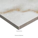 MSI Amari Gold 24 in. x 48 in. Polished Porcelain Floor and Wall Tile (24 sq. ft. /Case) (NHDAMAGOL2448P)