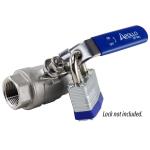 Apollo 3/4 in. x 3/4 in. Stainless Steel FNPT x FNPT 2-3/4 in. L Full-Port Ball Valve with Latch Lock Lever (96F10427)