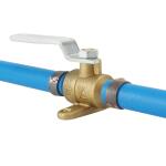 Apollo 1/2 in. Brass PEX-B Barb Ball Valve with Drain and Mounting Pad (APXV12WD)