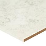 TrafficMaster Baja White 12 in. x 12 in. Matte Ceramic Floor and Wall Tile (15 sq. ft. /Case) (NHDBAJWHI1212C)