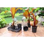 Trade 3 Gal. (2.6 Gal.) Black Resin Thermoformed Nursery Pot (TFR003G0G18)