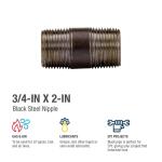 Southland 3/4 in. x 2 in. Black Steel Schedule 40 Nipple (584-020HN)