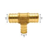 Apollo 3/4 in. x 3/4 in. x 1/2 in. Brass PEX-B Barb Reducing Tee (APXT343412)