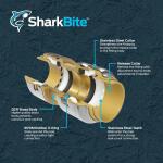 SharkBite Max 1/2 in. Brass Push-to-Connect Coupling Fitting (UR008A)