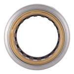 SharkBite Max 3/4 in. Push-to-Connect x FIP Brass Adapter Fitting (UR088A)