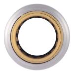 SharkBite Max 1/2 in. Push-to-Connect Brass Slip Coupling Fitting (UR3008A)