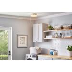 Hampton Bay Hanafin 9 in. Light Brushed Nickel Integrated LED Ceiling Flush Mount w/ Glass Shade and Pull Chain, Soft White (3000K) (CG3aA015CR1D30)