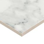 MSI Carrara Noire 16 in. x 32 in. Polished Porcelain Stone Look Floor and Wall Tile (14.20 sq. ft./Case) (NHDCARNOI1632C)