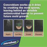 Concrobium Mold Control 1 Gal. (25001CAL)