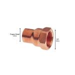 Everbilt 1/2 in. Copper Pressure Cup x FIP Female Adapter Fitting (C603HD12)