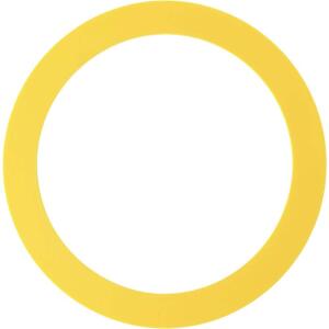 KOHLER Seal for All Single Flush Class 5 and Class 6 Canister Toilets (K-GP1059291)