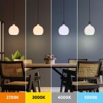 Feit Electric 60-Watt Equivalent Round Dimmable Oversized Frost Glass E26 LED Light Bulb Soft White 2700K (RND/F/927CA/HDRP)