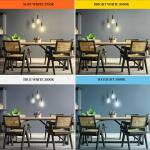 Feit Electric 60-Watt Equivalent ST19 Dimmable White Filament Clear Glass E26 Vintage Edison LED light Bulb, Daylight 5000K 4-Pack (ST1960950CAWFILHDRP4)