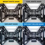 Feit Electric 40-Watt 8 ft. T12 FA8 Single Pin Type A Plug and Play Linear LED Tube Light Bulb, Daylight Deluxe 6500K (2-Pack) (T1296/865/A/LEDG2/2)