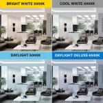 Feit Electric 12-Watt 21 in. T5 G5 Type A Plug and Play Linear LED Tube Light Bulb, Bright White 3000K (T521/830/LED)