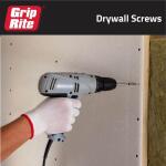 Grip-Rite #6 x 2 in. #2 Phillips Bugle Head Coarse Thread Sharp Point Drywall Screws 1 lb. Box (2CDWS1)
