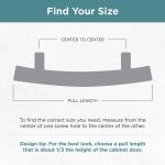 Liberty Newton Dual Mount 2-3/4 or 3 in. (70/76 mm) Modern Satin Nickel Cabinet Drawer Pull (P62000C-SN-C0)