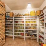 Sensor Brite Overhead Motion Activated LED Night Light (OVL-QP54)