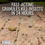 TERRO 3 lb. Outdoor Ant Killer Plus Granules – Multi-Purpose Insect Control Shaker Ba(T901-6)