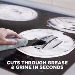 Weiman 2 oz. Cook Top Glass Cleaning Kit (98A)