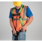 Werner Premium Adjustable Fall Protection Safety Harness (D-Ring) (H511202W)