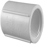 Charlotte Pipe 3/4 in. PVC Schedule 40 FPT x FPT Coupling (PVC021020800HD)