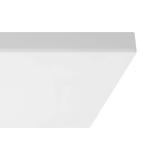 Commercial Electric 1 ft. x 4 ft. 40-Watt Dimmable White Integrated LED 4000 Lumens Frameless Flat Panel with Color Change 3CCT (19000000)