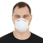 HDX N95 Disposable Adult Respirator Mask (10-Pack) (H950)