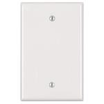 Leviton 1-Gang White Blank Plate Nylon Midway/Midsize Wall Plate (1-Pack) - R52-0PJ13-00W