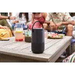 Bose - Portable Smart Speaker with built-in WiFi, Bluetooth, Google Assistant and Alexa Voice Control - Triple Black (829393-1100)