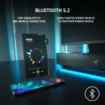 Razer - Leviathan V2 Bluetooth Gaming Speakers (2-Piece) - Black (RZ05-03920100-R3U1)