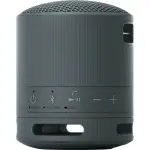 Sony - XB100 Compact Bluetooth Speaker - Black (SRSXB100/B)