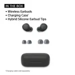 Sony WF-C510 True Wireless Earbuds – Blue