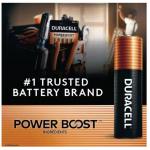 Duracell Coppertop Alkaline AAA Battery (10-Pack), Triple A Batteries