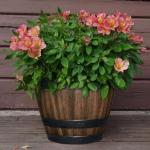 Vigoro 12.8 in. Reedley Medium Kentucky Walnut Brown Resin Barrel Planter (12.8 in. D x 10.5 in. H)