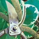 Corona ClassicCUT 1 in. Cut Capacity High Carbon Steel Blade with Full Steel Core Handles Branch and Stem Pruner