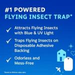 Zevo Indoor Flying Insect Trapnfor Fruit Flies ,Gnats and House Flies (1plug-In Base + Refill Cartridge)