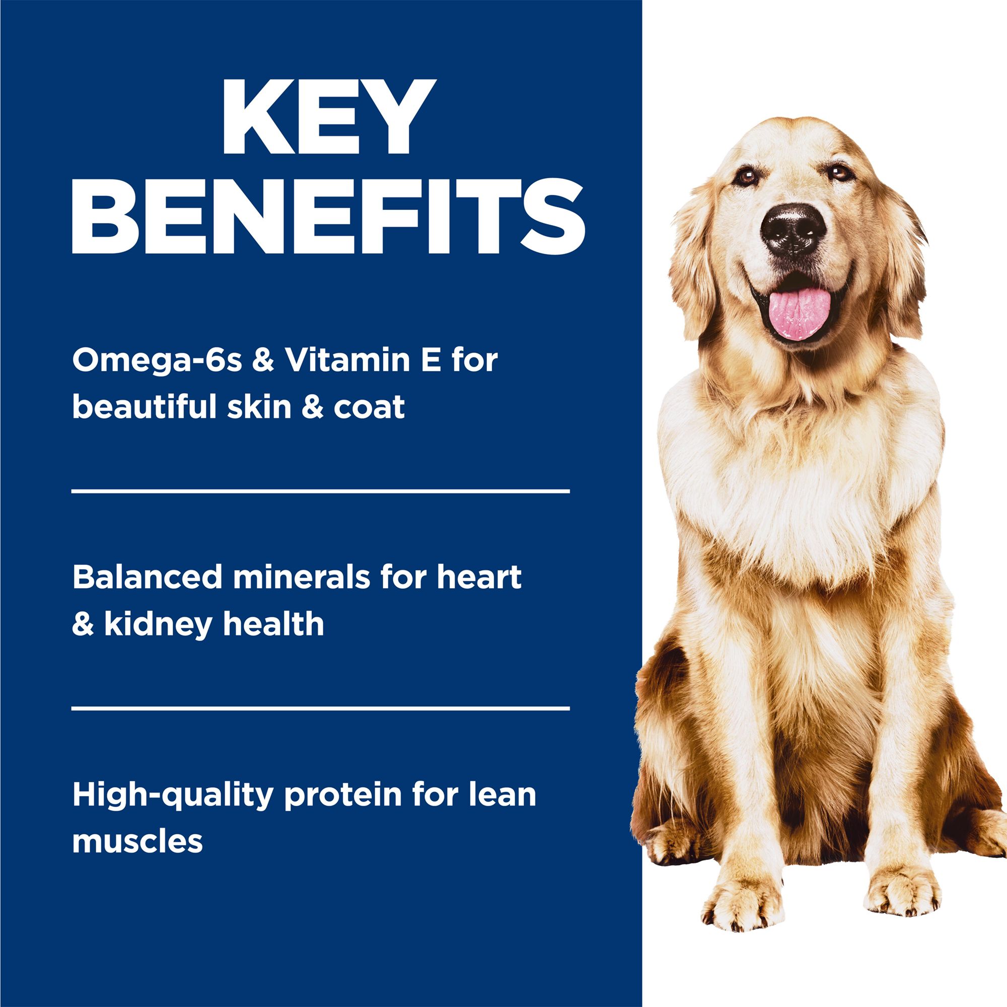 Hill's® Science Diet® Perfect Weight Adult Wet Dog Food - Chicken & Vegetable Stew, - Image 4