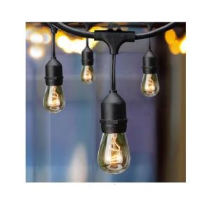 Hampton Bay 12-Light 24 ft. Incandescent String Light