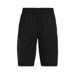 Under Armour Boys’ Big Kid Prototype 2.0 Wordmark Shorts Black (002)/Pitch Gray – Youth Small