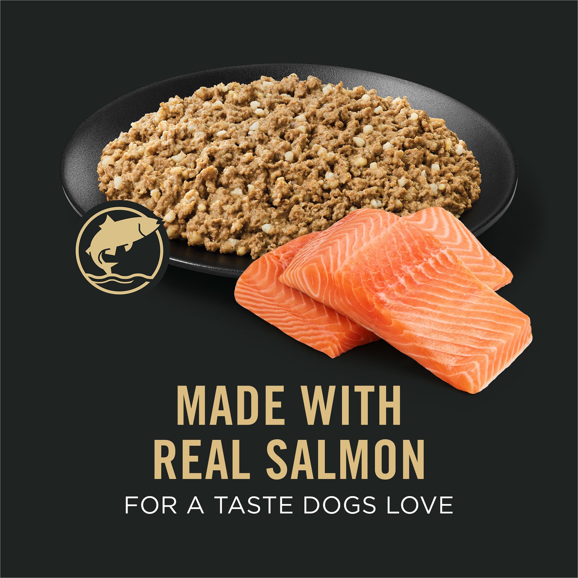 Purina Pro Plan Sensitive Skin & Stomach Adult Wet Dog Food - Salmon & Rice Recipe - Image 2