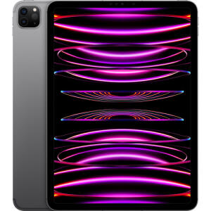 Apple - Geek Squad Certified Refurbished 12.9-Inch iPad Pro M2 (6th Gen) Wi-Fi + Cellular - 256GB - Space Gray (Unlocked)