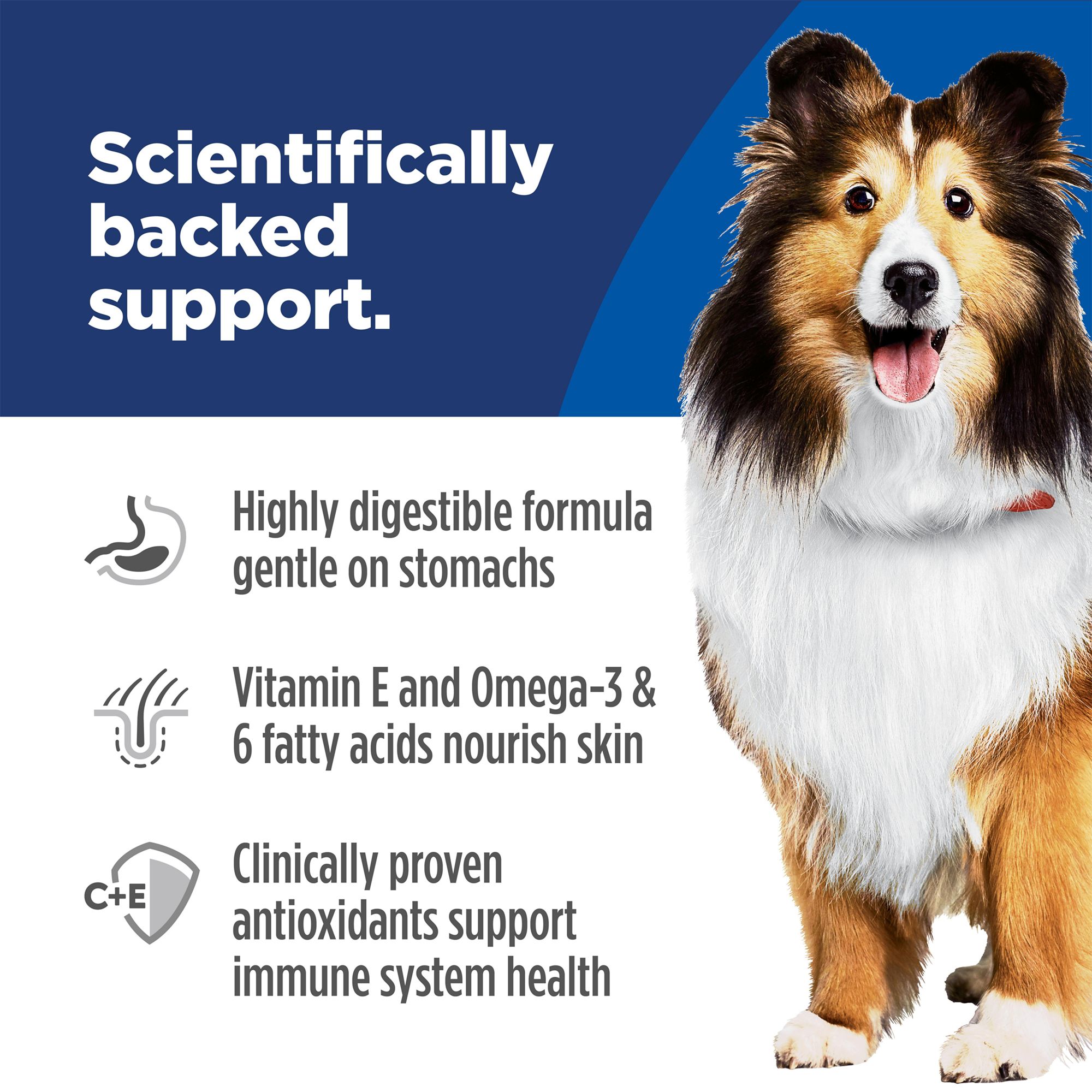 Hill's Science Diet Adult Wet Dog Food for Sensitive Stomach & Skin – Turkey & Rice, - Image 3