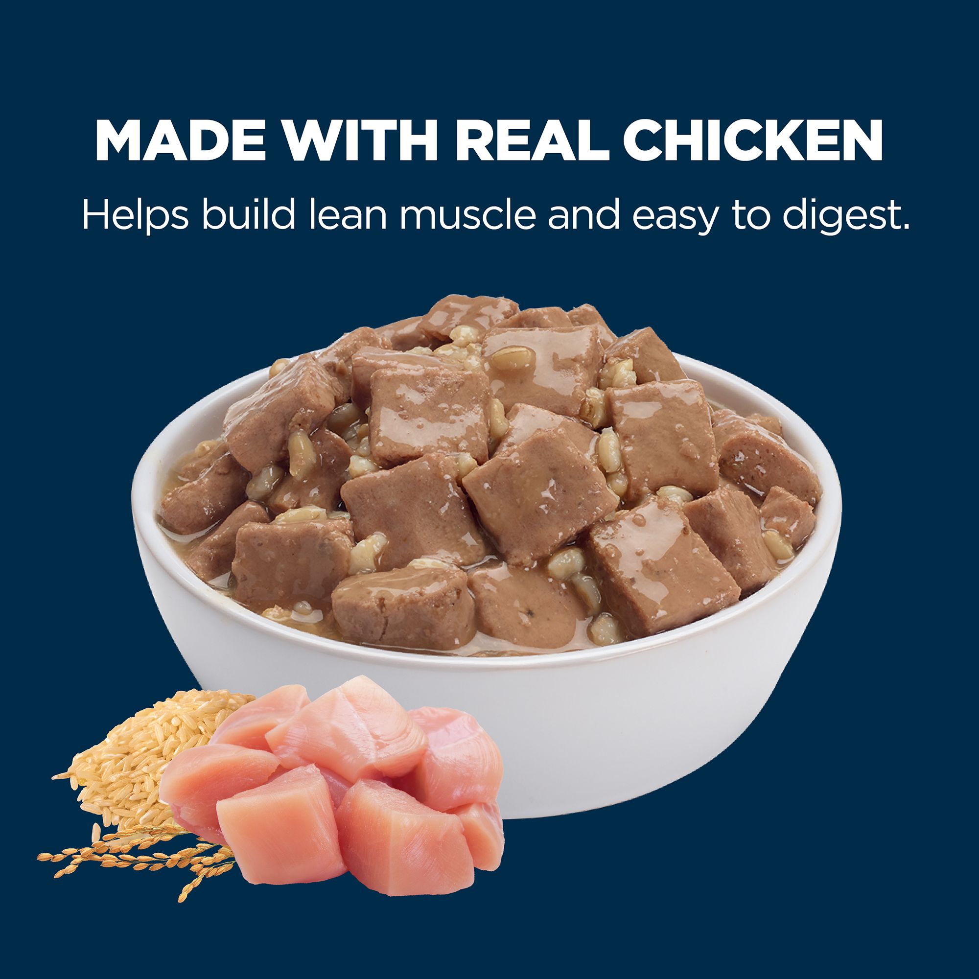 Authority® Everyday Health Adult Wet Dog Food Cuts in Gravy - Image 3