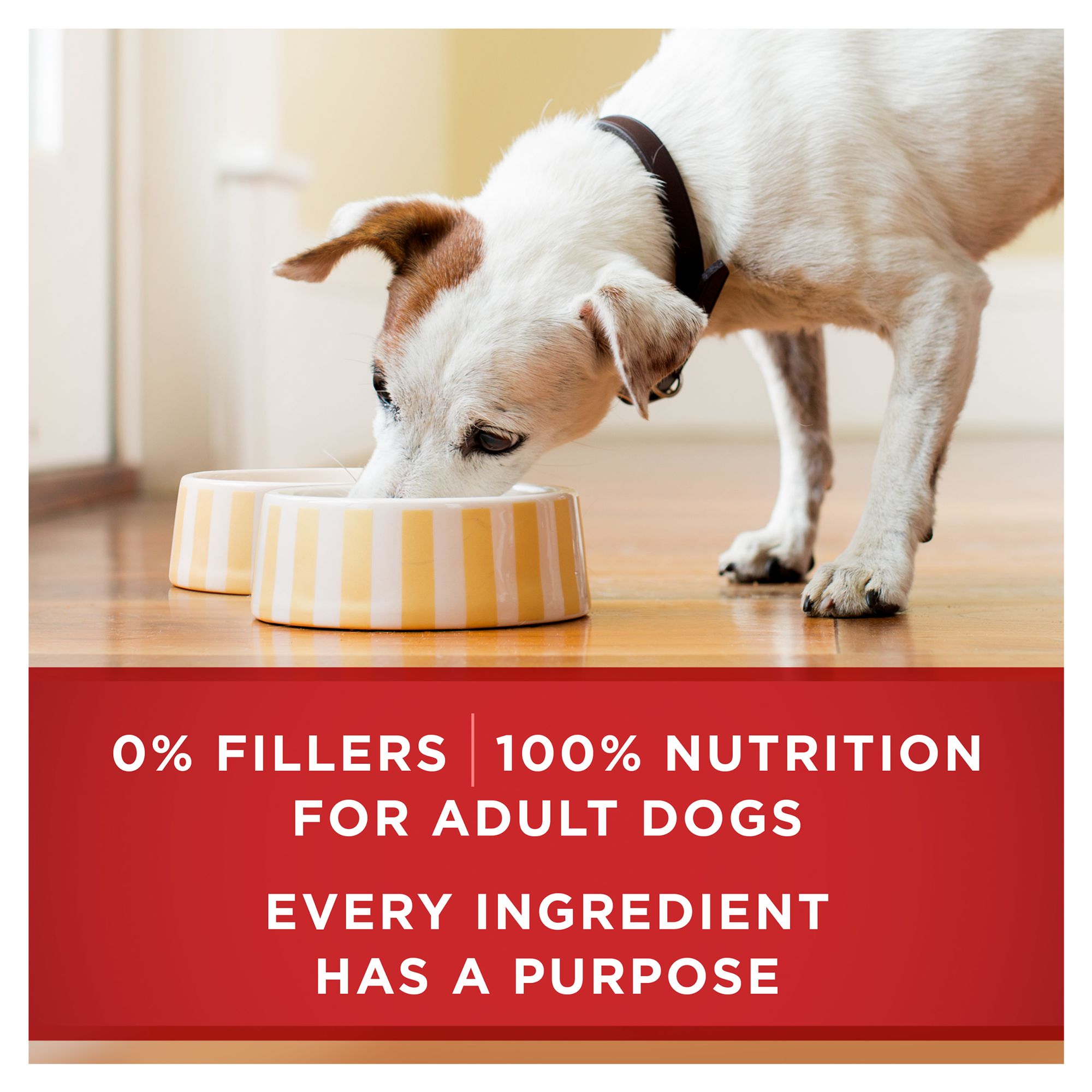 Purina ONE® SmartBlend Everyday Nutrition Adult Dog Wet Food - Natural - Image 7
